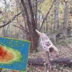 bagna "Nietknięty ręką ludzką relikt". Tajemnica ukryta wśród bagien pod Włodawą