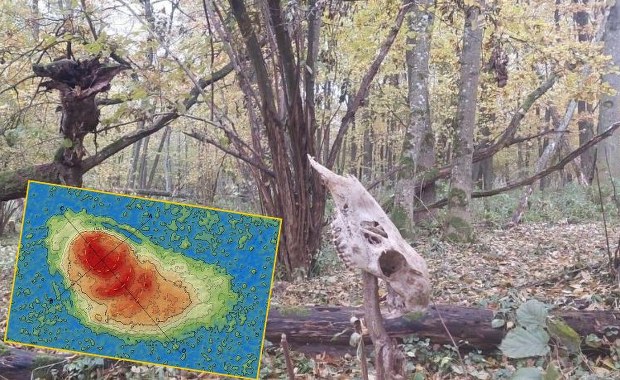 ​"Nietknięty ręką ludzką relikt". Tajemnica ukryta wśród bagien pod Włodawą