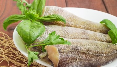 Nietuzinkowa ryba na piątek. Nie ma ości, jest soczysta jak mało która, działa jak paliwo dla mózgu  