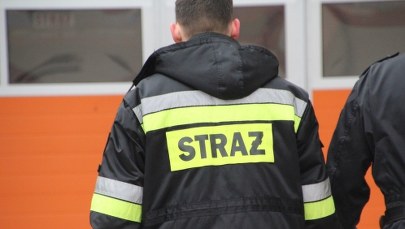 Nietypowa akcja ratunkowa. Pracownik służby leśnej sprowadzony z dużej wysokości