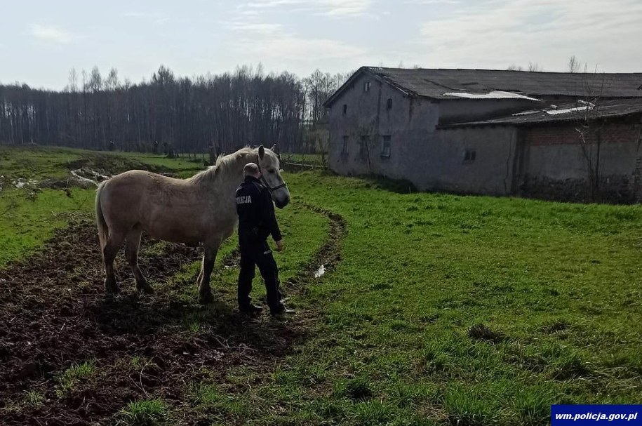Nietypowa interwencja strażaków /warmińsko-mazurska policja /
