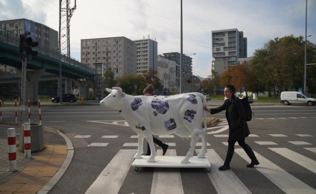 Nietypowa spółdzielnia w Warszawie. Można wypożyczyć nawet figurę krowy