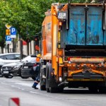 Nietypowe odkrycie w Krakowie. Jadowite pająki w koszu na śmieci