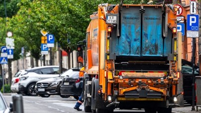 Nietypowe odkrycie w Krakowie. Jadowite pająki w koszu na śmieci