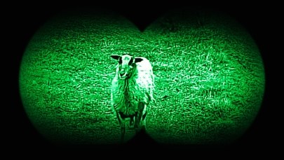 Nietypowe przekroczenie polsko-ukraińskiej granicy. "Była to recydywa"