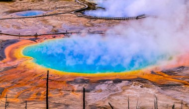 Nietypowe sygnały zarejestrowane w Yellowstone. Odnotowano zmiany