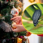 Nietypowy list gończy. Poszukiwana jest niezwykle groźna!