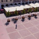 betonoza Nietypowy pomysł w polskim mieście. Na rynku pojawiły się przenośne drzewa
