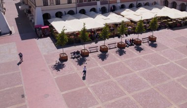 Nietypowy pomysł w polskim mieście. Na rynku pojawiły się przenośne drzewa
