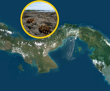 Nietypowy „wiatr magmy” znajduje się pod Panamą. Co to oznacza?