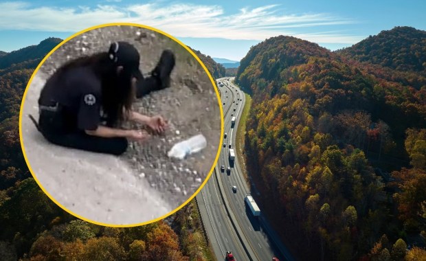Nietypowy wypadek. Autostrada zamieniła się w skarbiec