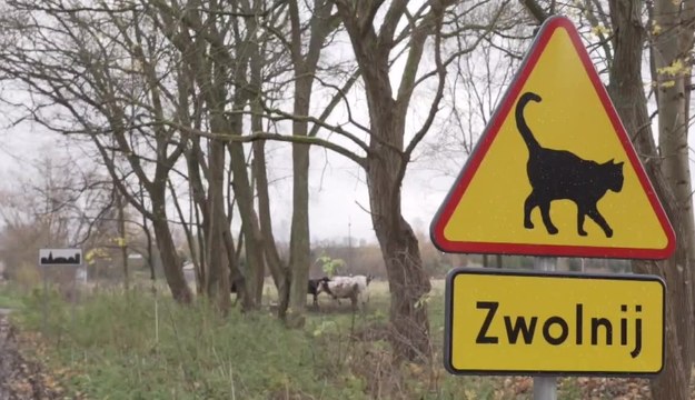 Nietypowy znak drogowy w wielkopolskiej wsi /TVN24/x-news