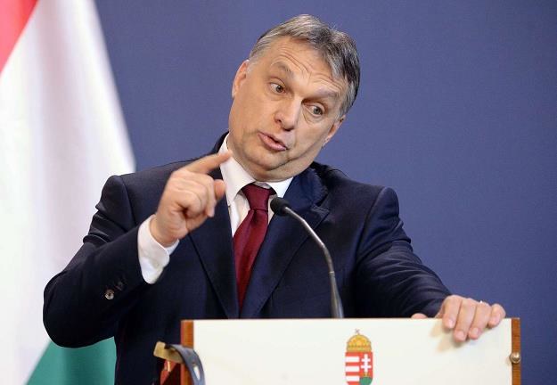 Nieugięty Węgier, czyli tajemnica sukcesu premiera Viktora Orbána /&copy;123RF/PICSEL
