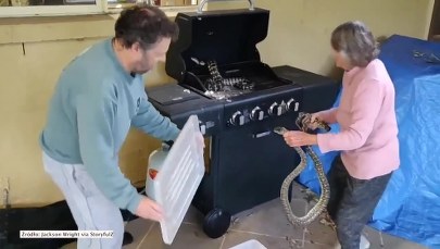 Nieustraszona babcia zmaga się z dwoma wężami 