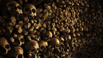 Niewiarygodna kradzież w Krakowie. I nietypowe zatrzymanie 