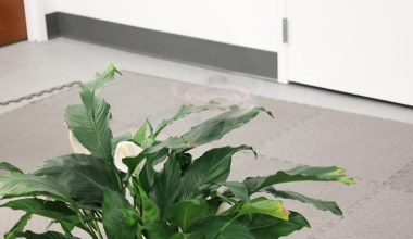 Niewidzialny Phantom Twist. Dron, który ukrywa się na widoku