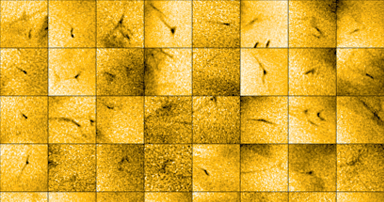 Niewielkie dżety odkryte przez sondę Solar Orbiter /ESA and NASA/Solar Orbiter/EUI Team /materiał zewnętrzny