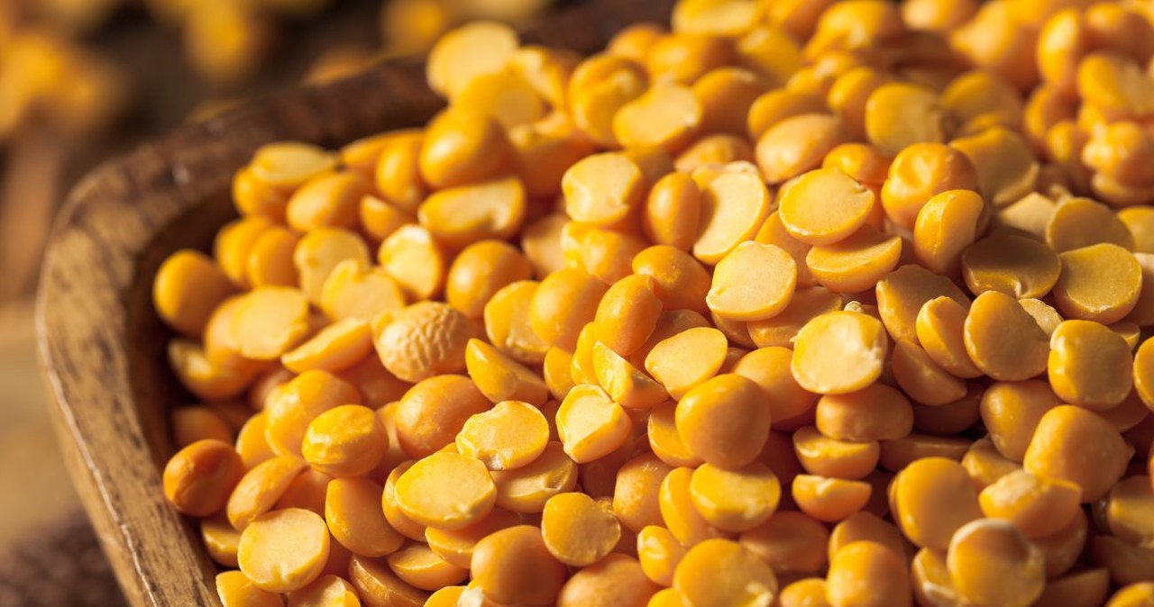 Niewielu pamięta o tych nasionach - są bardzo zdrowie i można je wykorzystać do wielu przepisów  /bhofack2 /Canva Pro