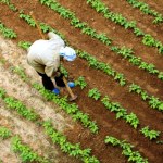 Niewolnictwo w XXI wieku. Bezdomni zmuszani do niewolniczej pracy