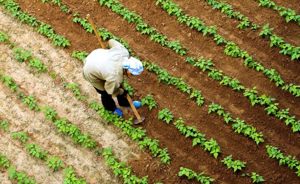 Niewolnictwo w XXI wieku. Bezdomni zmuszani do niewolniczej pracy