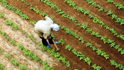 Niewolnictwo w XXI wieku. Bezdomni zmuszani do niewolniczej pracy