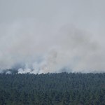 Niewybuchy utrudniają gaszenie pożaru w niemieckim lesie Grunewald 
