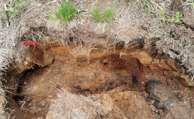 Niewybuchy w lesie k. Mińska Mazowieckiego. Akcja wydobycia może potrwać kilka dni