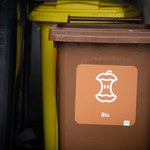 Niewykorzystany potencjał bioodpadów. Polska marnuje miliony złotych