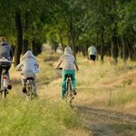 Niezbędne ekogadżety na podróż. Jak zaoszczędzić i zadbać o środowisko?