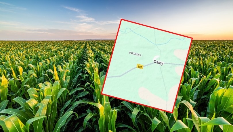 Coś spadło i eksplodowało na Lubelszczyźnie. Wybite szyby w oknach