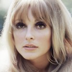 ​Nieznany kochanek Sharon Tate? "Sharon i Jay byli w sobie szaleńczo zakochani"