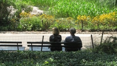 ​Nieznośny uścisk stereotypów