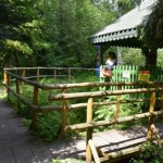 Beskidy Niezwykła atrakcja w Beskidach. Mofety uwalniają dwutlenek węgla z głębi Ziemi