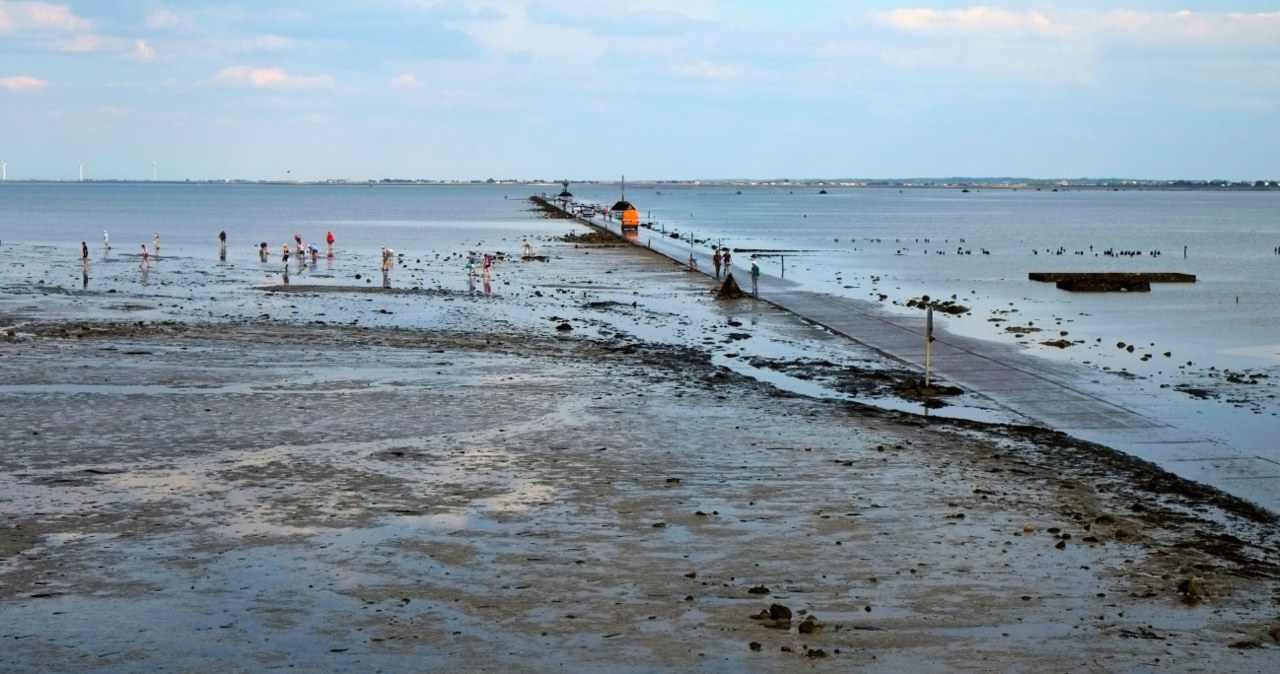 Niezwykła droga we Francji. Czym jest znikająca Passage du Gois? /Patrick Despoix /CC BY-SA 4.0