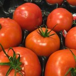 Niezwykła funkcja naklejek na pomidorach. Tak przedłużysz ich świeżość