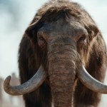 Ukraina Niezwykła konstrukcja znaleziona w Ukrainie. Powstała dzięki mamutom