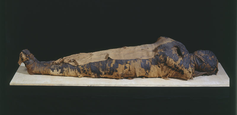 Niezwykła zmiana płci polskiej mumii kompletnie wywróciła jej historię badań. Dziś w ramach projektu prowadzą je głównie Wojciech Ejsmond i Marzena Ożarek-Szilke /Cyfrowe Muzeum Narodowe w Warszawie /domena publiczna
