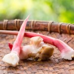 Niezwykle aromatyczny krewniak imbiru. Topi tkankę tłuszczową, obniża cukier i pomaga na bóle reumatyczne