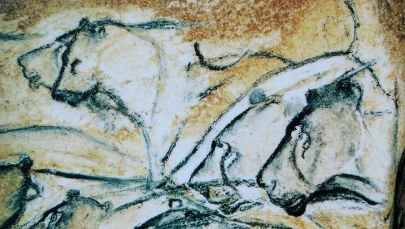 Niezwykłe dzieła sztuki sprzed wieków. Zobacz najstarsze prehistoryczne malowidła