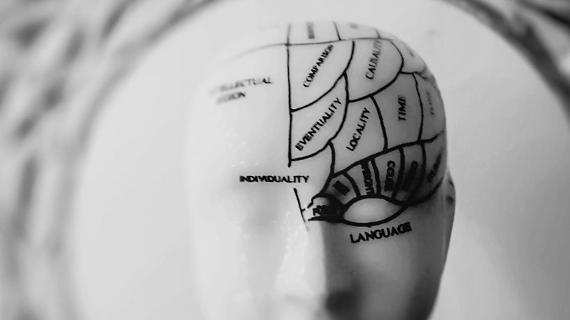 Niezwykłe fakty o ludzkim mózgu /Geekweek