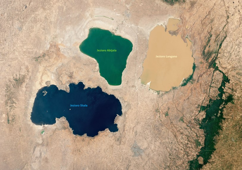 Niezwykłe kolorowe jeziora w Etiopii /NASA Earth Observatory /NASA