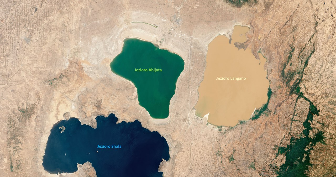 Niezwykłe kolorowe jeziora w Etiopii /NASA Earth Observatory /NASA