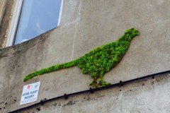 Niezwykłe murale z mchu rozkwitły na kamienicach
