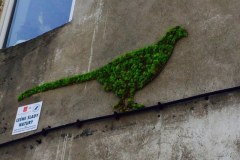 Niezwykłe murale z mchu rozkwitły na kamienicach