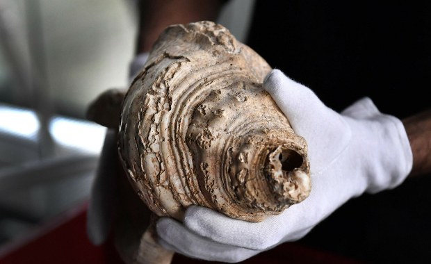 Niezwykłe odkrycie sprzed 6 tys. lat. Nie zgadniesz, do czego służyły