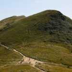 Niezwykłe odkrycie w Bieszczadach. To nie jedyny taki przypadek w Polsce