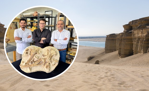 Niezwykłe odkrycie w Egipcie. Gatunek wieloryba sprzed 41 mln lat