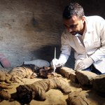 Niezwykłe odkrycie w Egipcie. Znaleziono dziesiątki mumii kotów