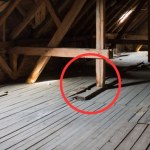 Niezwykłe odkrycie w Gliwicach. Przeleżał dekady ukryty pod podłogą