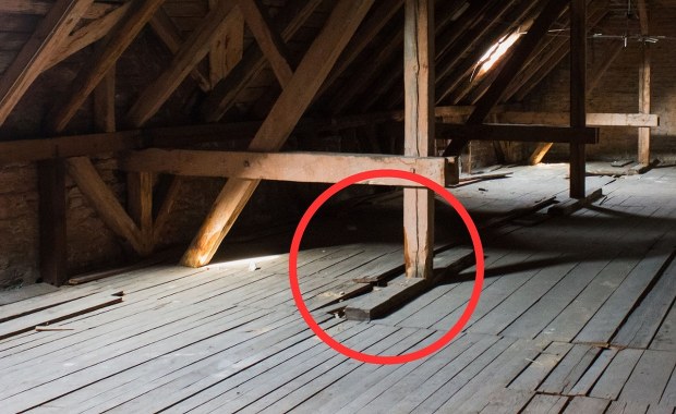 Niezwykłe odkrycie w Gliwicach. Przeleżał dekady ukryty pod podłogą